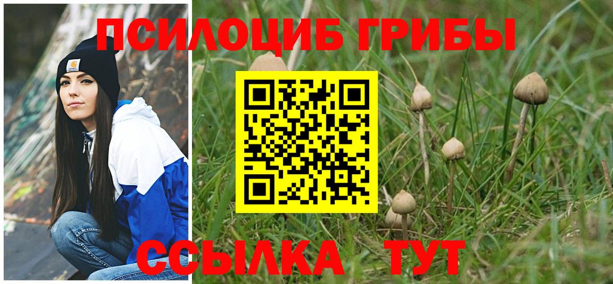 Псилоцибиновые грибы мухоморы Коломна