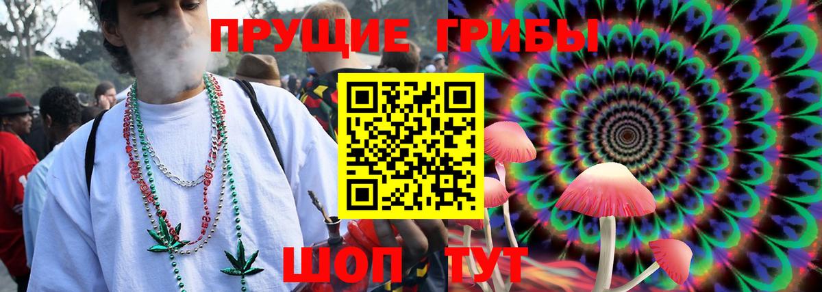 Коломна  Псилоцибиновые грибы Cubensis  Вход с VPN 